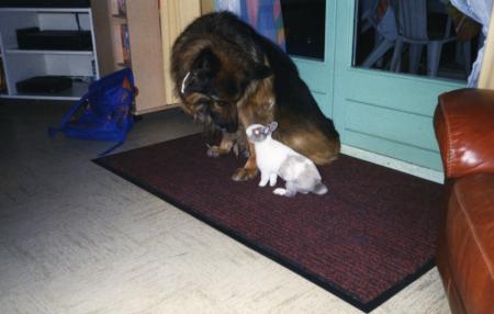 charli et praline