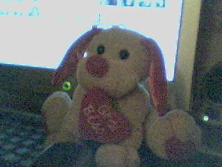 bisoussssssssssssssssssssssssss